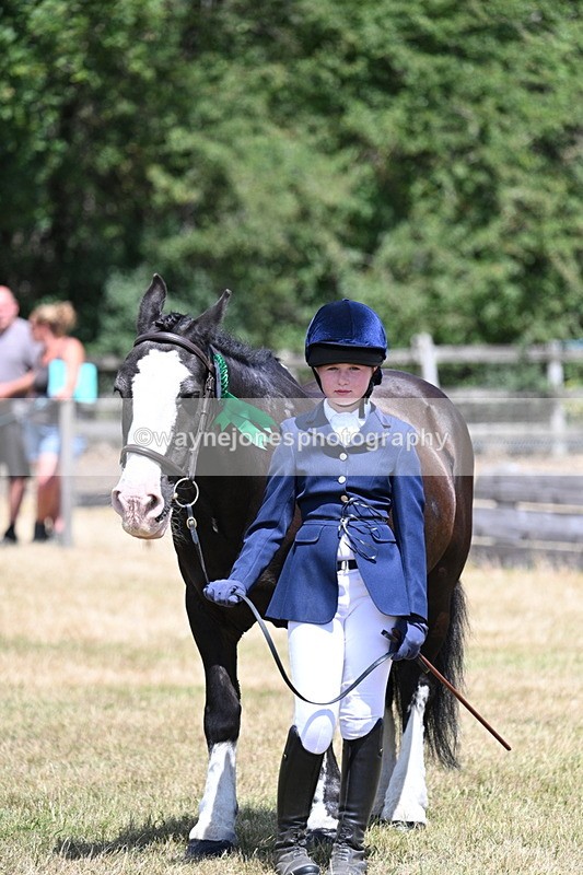 WJ7_2272 - Class 5 Most Handsome Gelding (up to 14.2hh) in hand