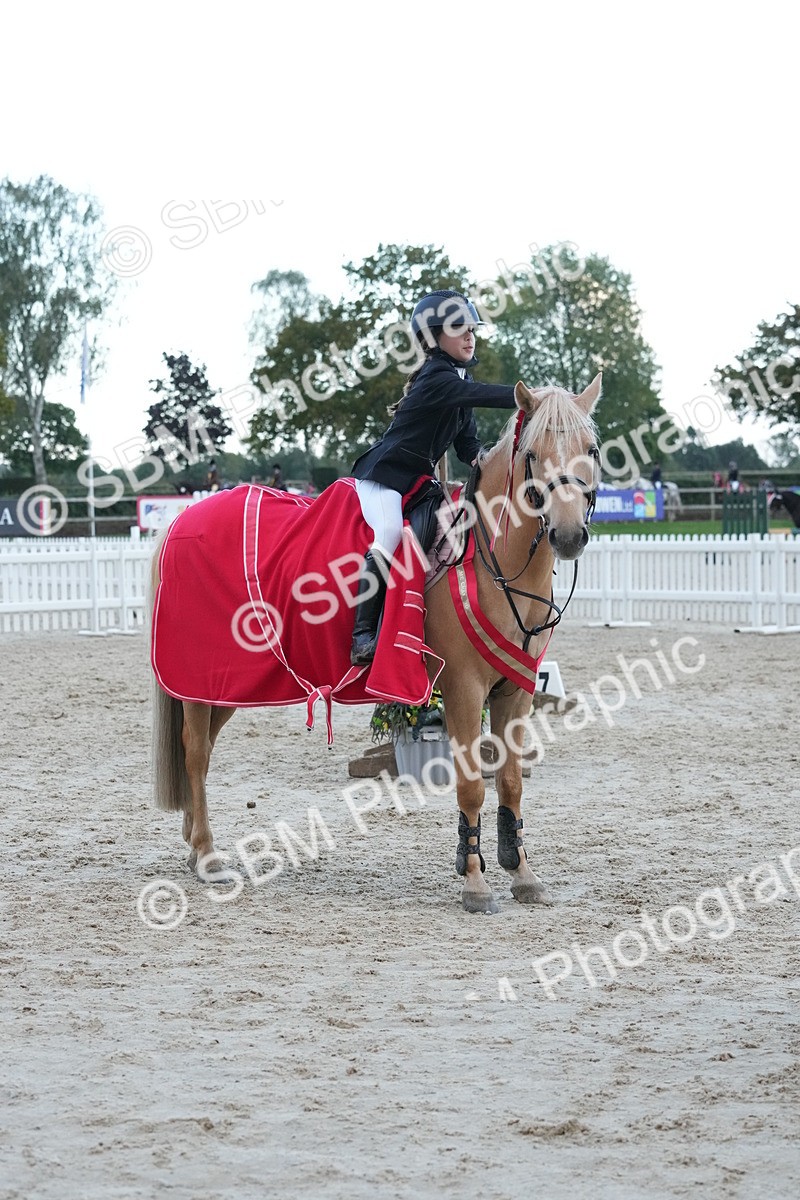SBM_54226 - Supreme Championship 60cm 65cm