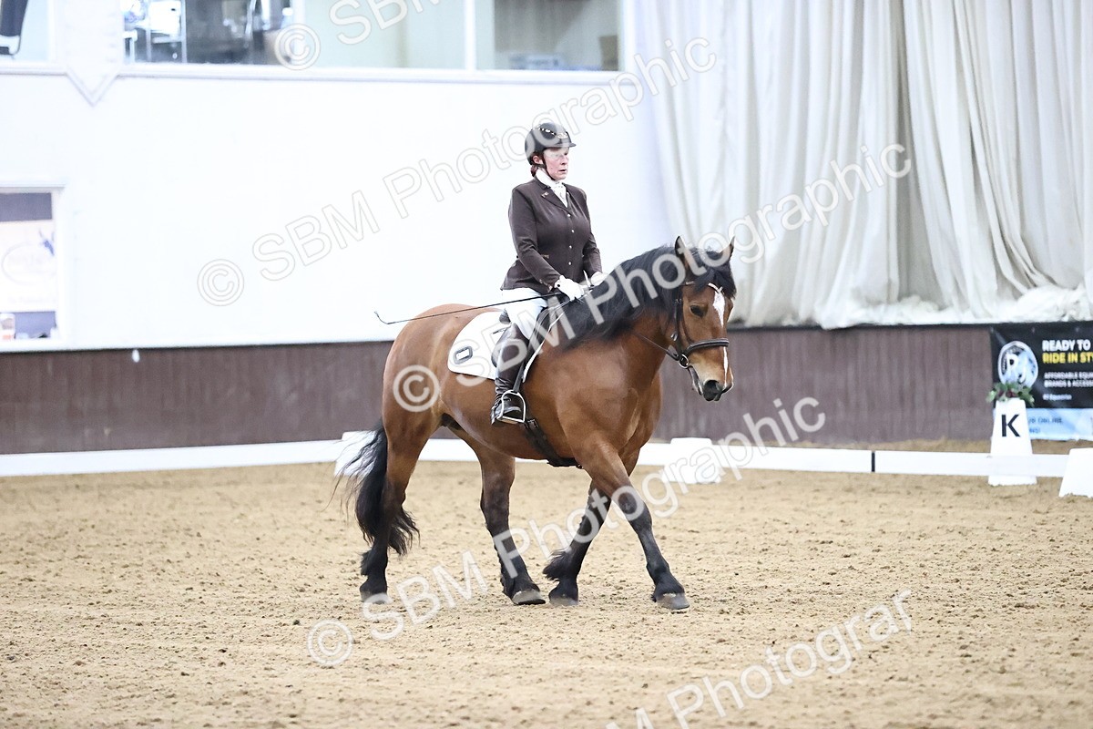 SBM_004209