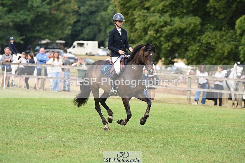 230617-094020-01626 - Cls 15 British Novice & 80cm Open