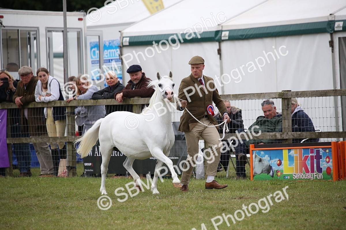 SBM_09772 - Ch 50 - Price Family Supreme In Hand