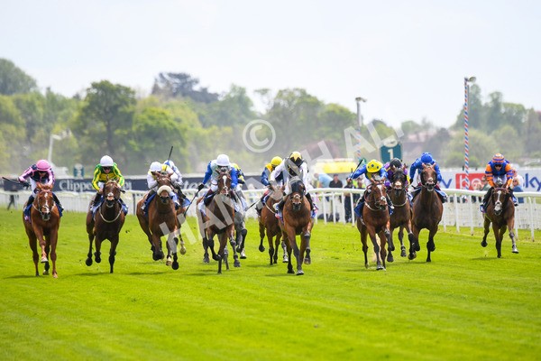 170523-Race 1-Scampi-0159 - Race 1 1.50pm Sky Bet Race To The Ebor Jorvik Handicap