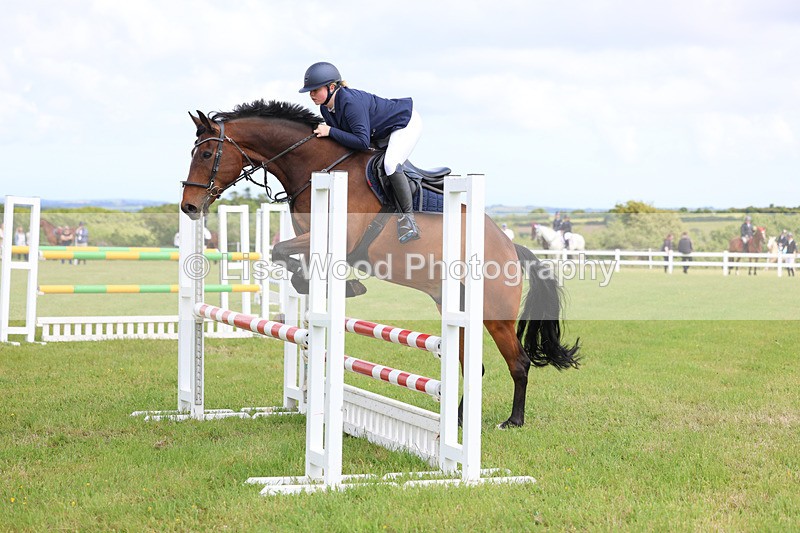 3E7A7551 - Class 13: Senior British Novice/90cm open