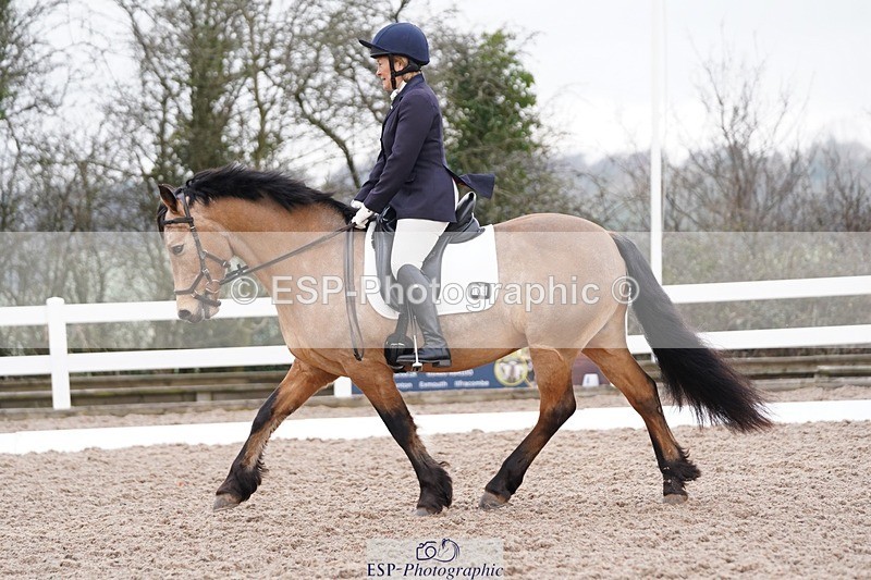 250322-091210-00031 - DR Prelim 1 Test