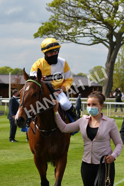 yr12052021r5-33 - Race 5 3.40pm Sky Bet Stakes