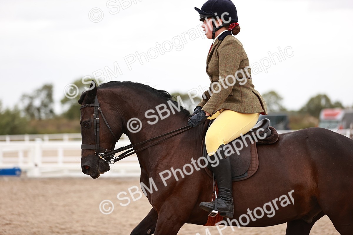 SBM_19055 - Class 422 - Ridden M&M