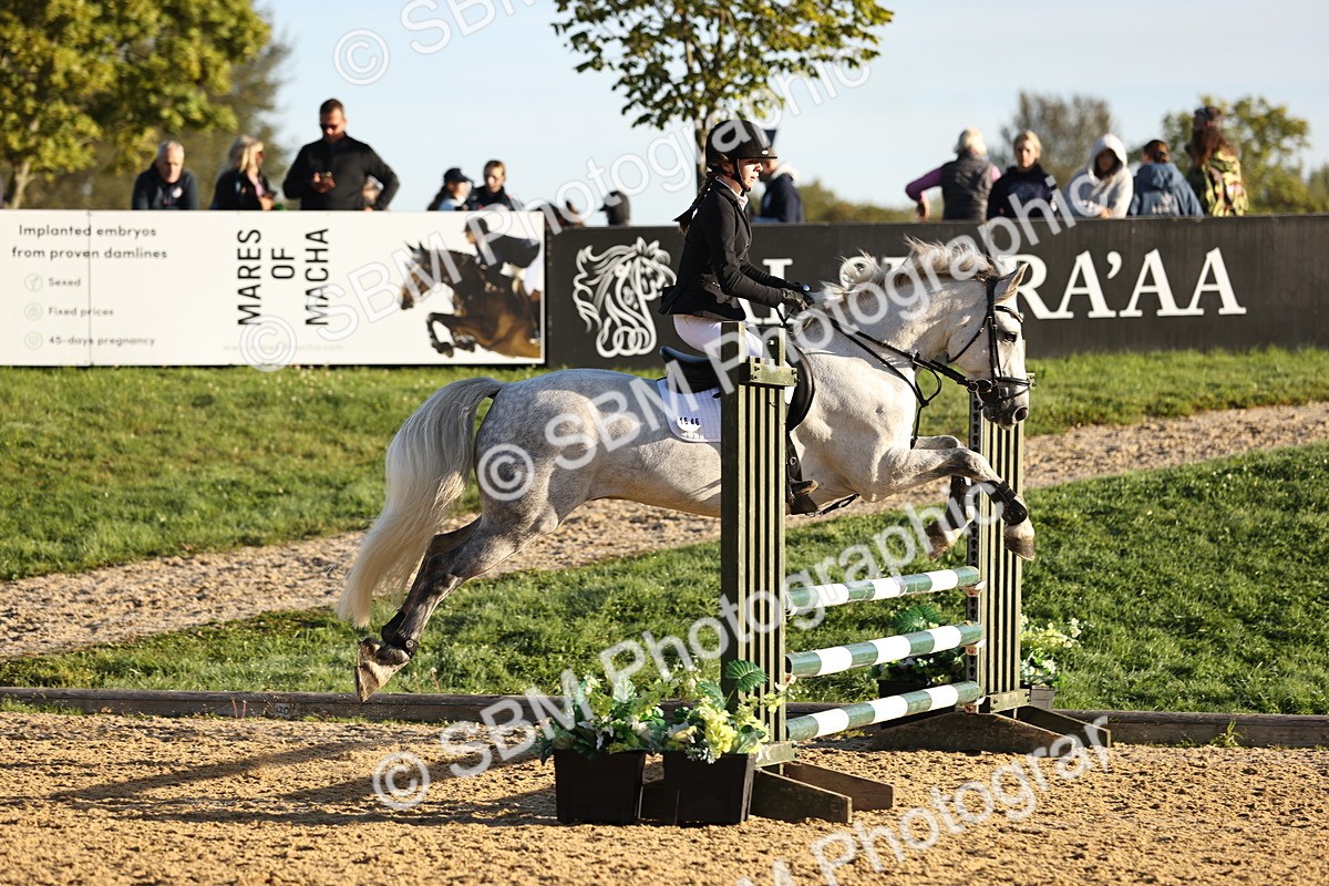 SBM_33085 - J38 - Senior 80cm Championship