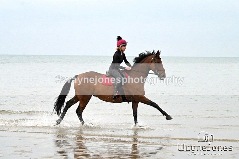 WJ7_8979 - Hayling Island Beach Shoot 22-09-24
