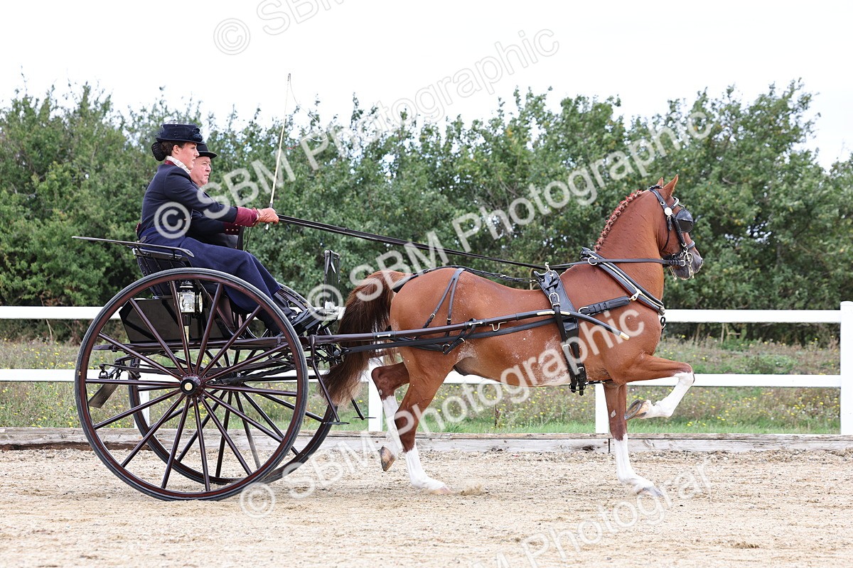 SBM_000414 - Class 4 - Junior Whip