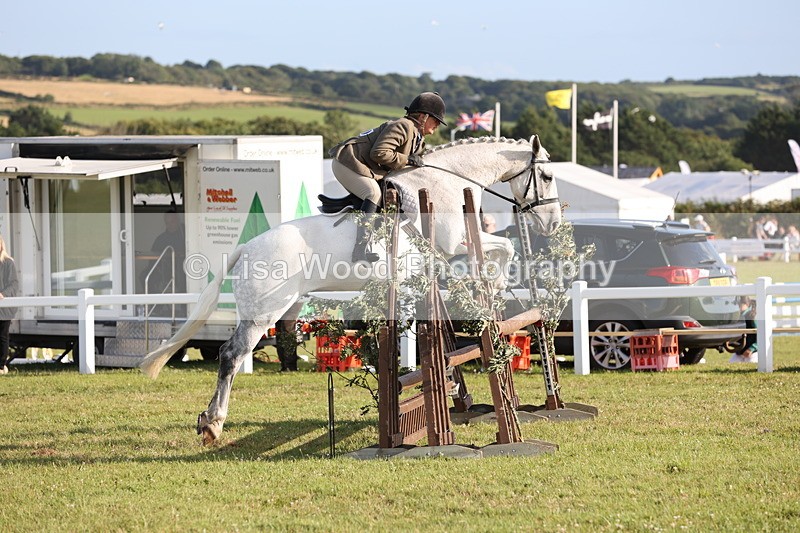 JPP_3395 - Class 22: Working Hunter 90cm