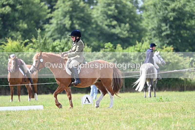 WJ7_3396 - Time 10:28 to 10:42