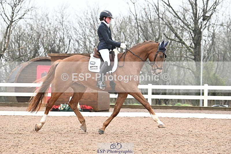 250215-113500-03224 - 257-Beth.Bainbridge-NEWTON.GLOVETROTTER