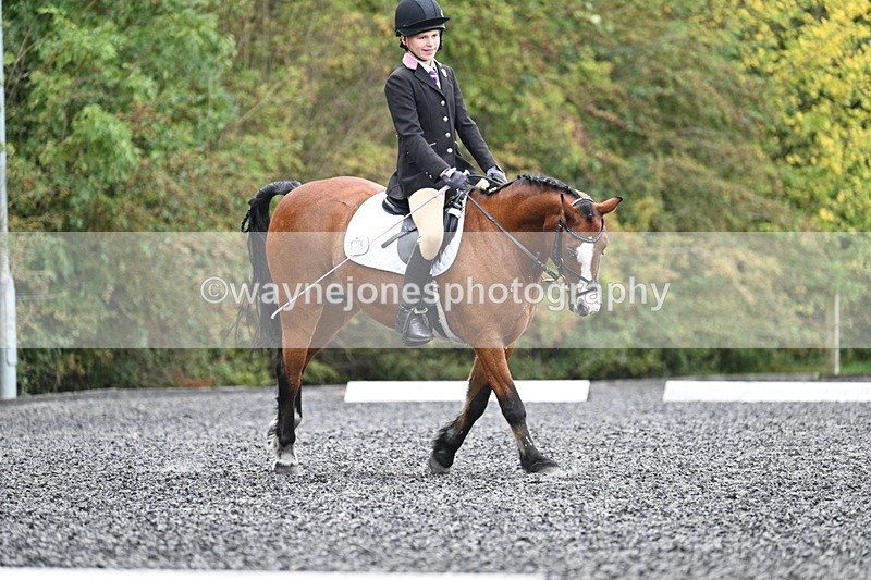 WJ7_4025 - Time 11:04 to 11:38