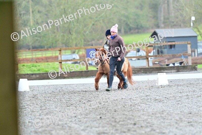 20260125-0922 - Class 9a - Walk Trot Assisted