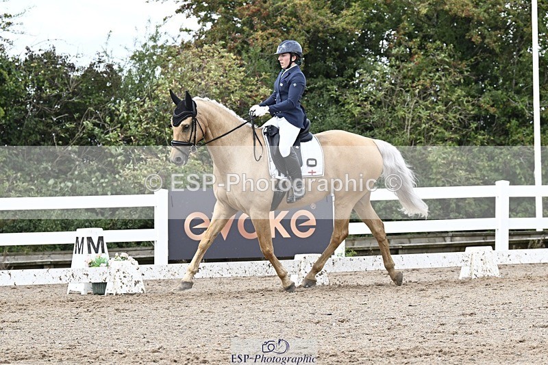 250907-131706-09899 - 025-Carrie.EveGekkos.Gold