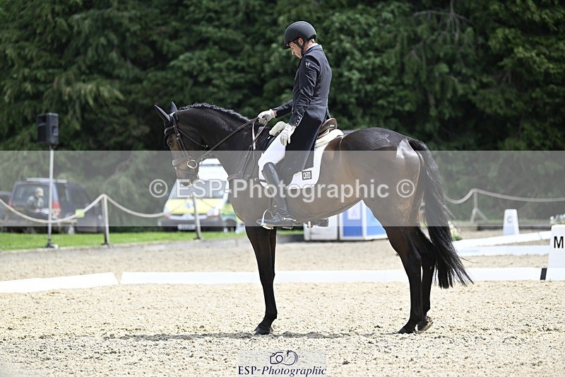 000101-190354-03836 - 426-VISCOUNT_VIKTOR-Tim_Price