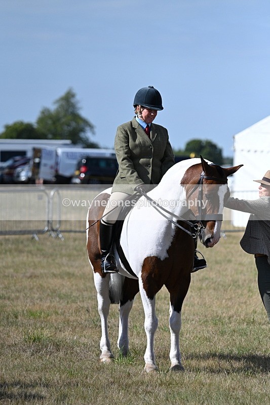 WJ7_2715 - Class 8 Ridden Tack & Turnout
