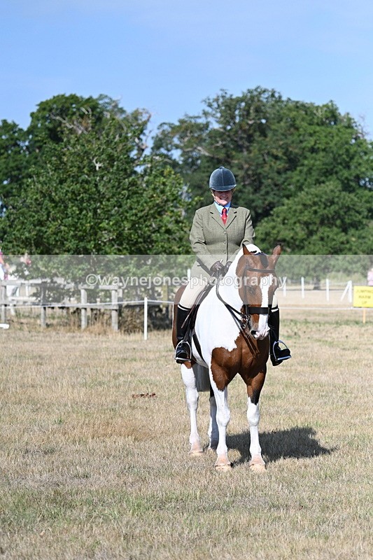 WJ7_2861 - Class 8 Ridden Tack & Turnout