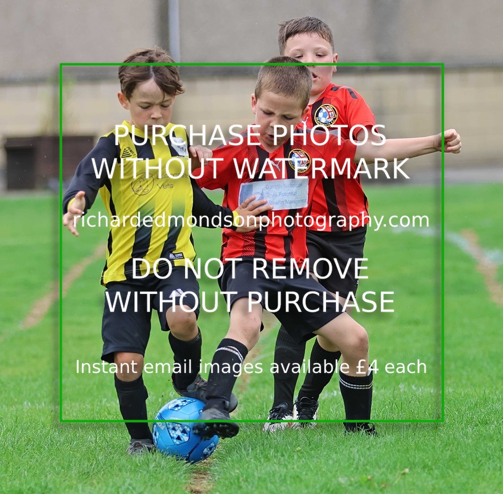 533A8229 - Ibis 5 aside tournament photographs (full gallery up to 23/7/25)