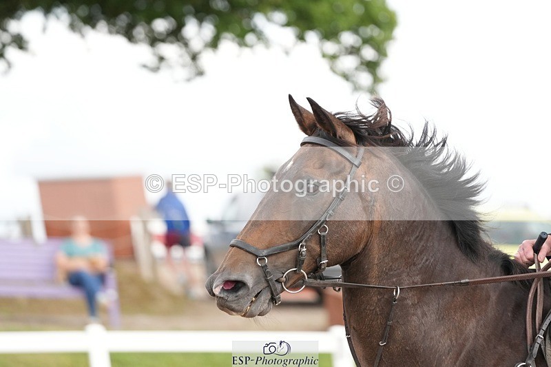 250722-160954-00228 - 70cm