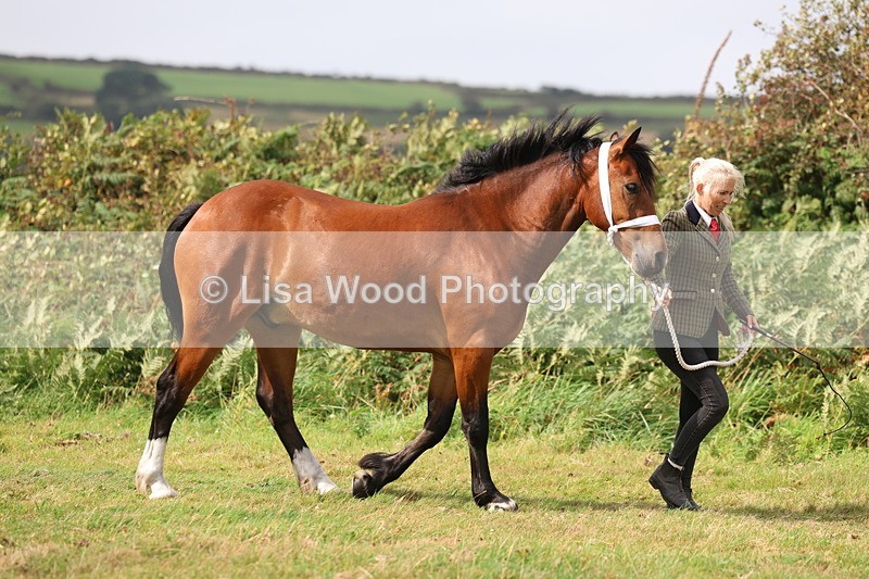 3E7A4319 - Class 15: Three Year Olds