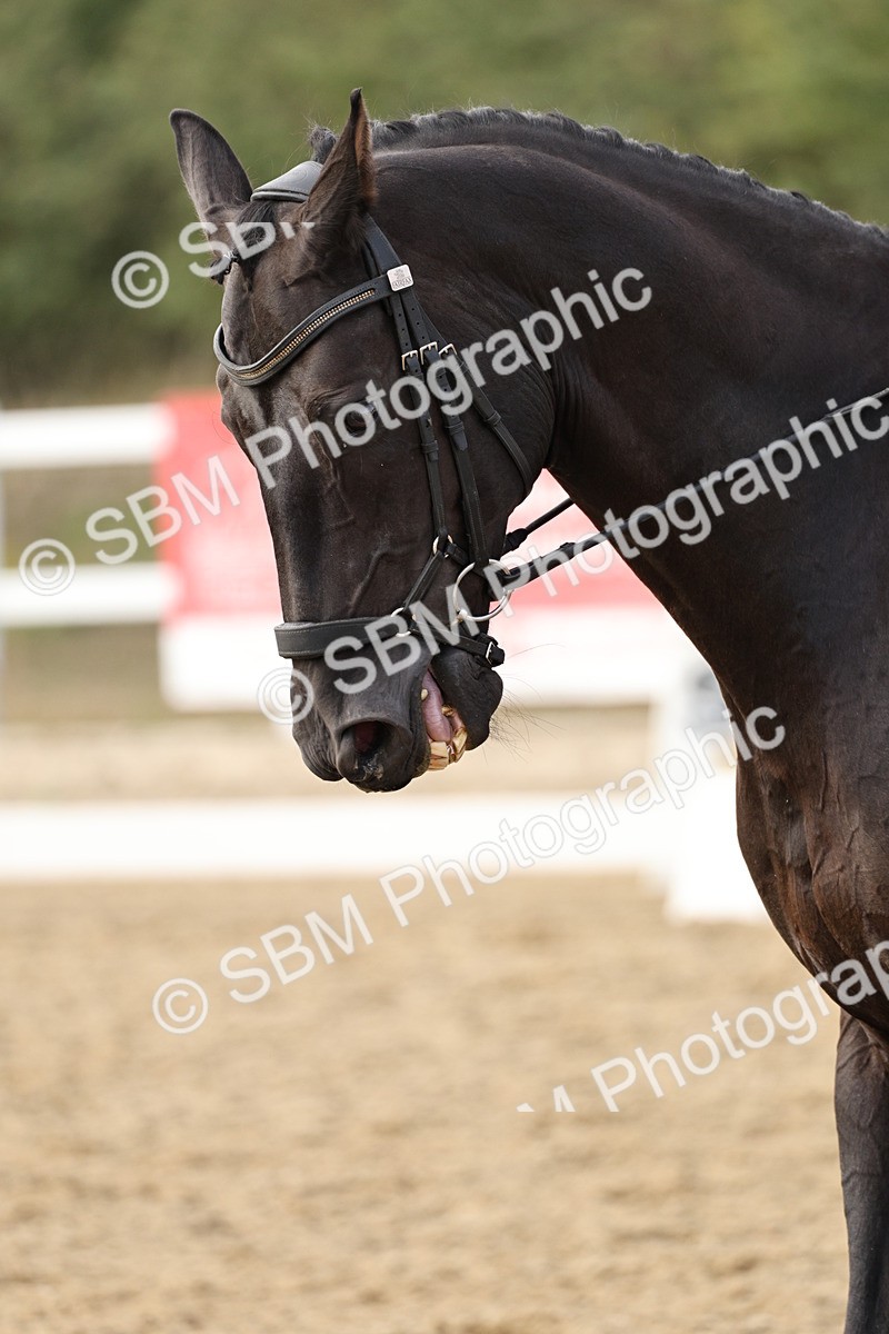 SBM_016276 - Class 10 - Advanced Medium 5