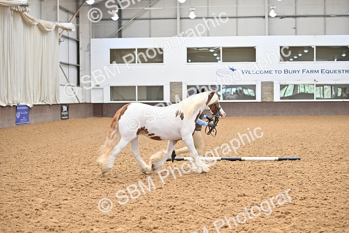 SBM_000275 - Class 10 - In Hand Coloured & Odd Coloured