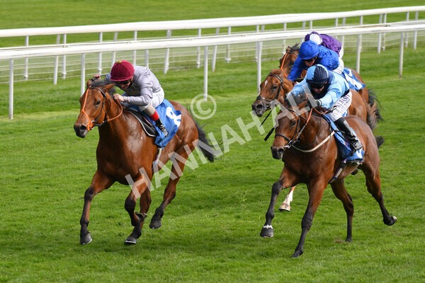 yr13052021r6-31 - Race 6 4.15pm Constant Security EBFstallions.com Maiden Stakes