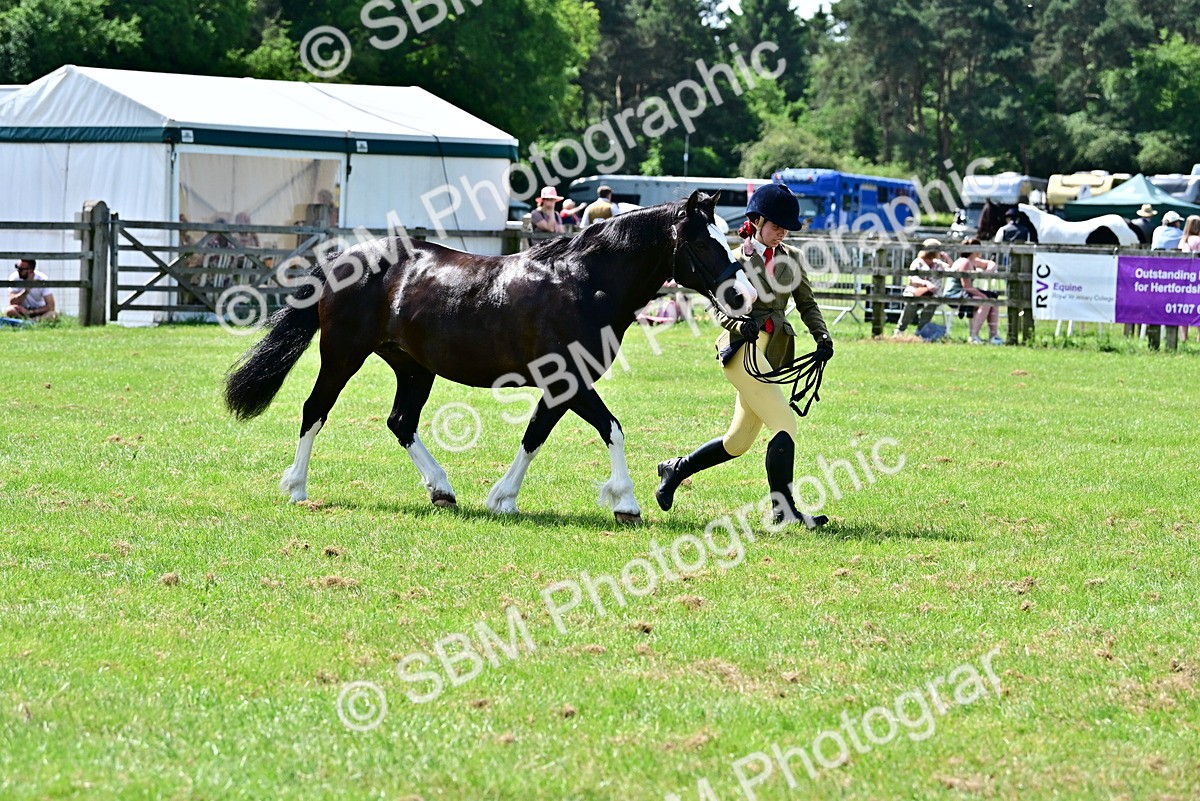 SBM_03903 - Class 58 - TSR  Ridden Veteran Amateur of the year