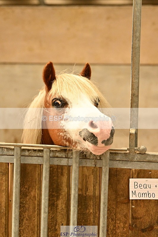 250821B-125654-00458 - Stable Shots and Group Photo