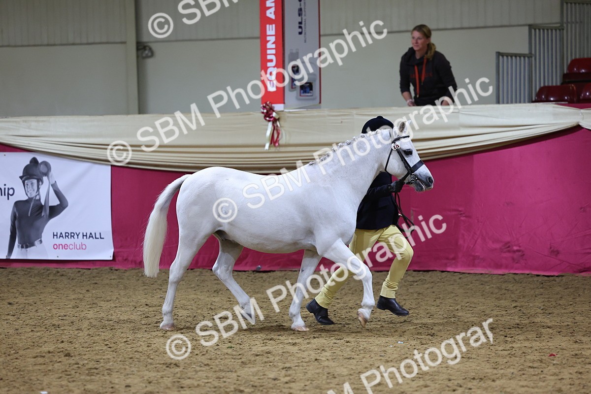SBM_18692 - Class D IH Pony Champ