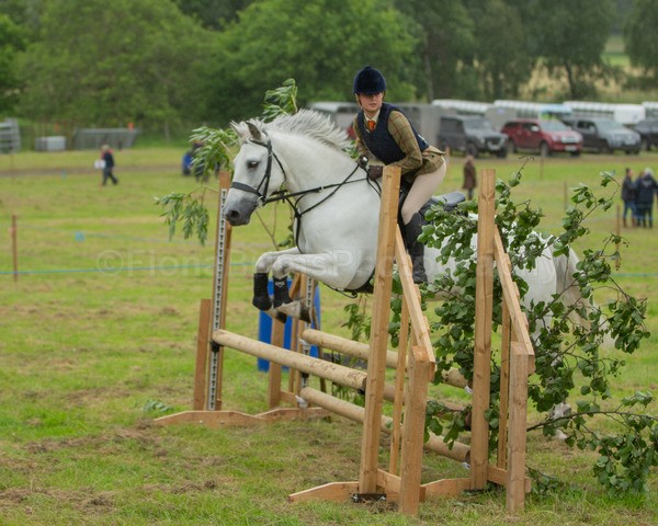Dunblane show-494 - Dunblane and Doune Show Ring 1