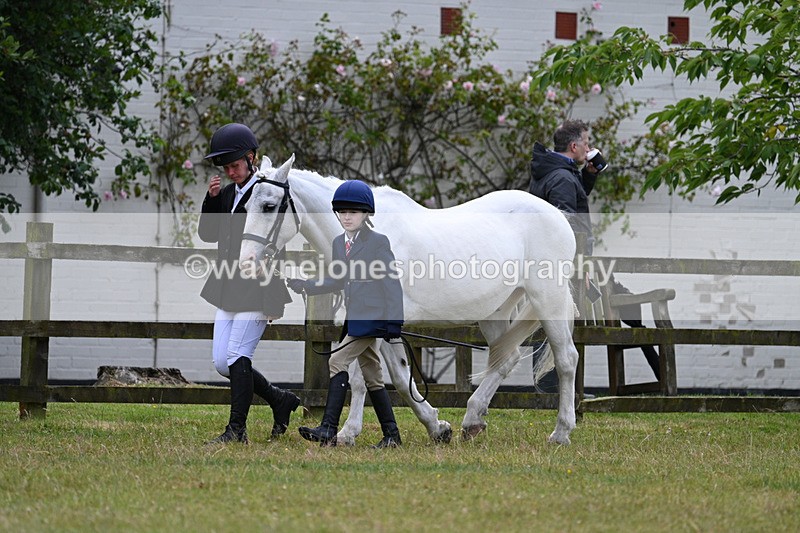 WJ7_6530 - Class 5 Handsome Gelding in hand