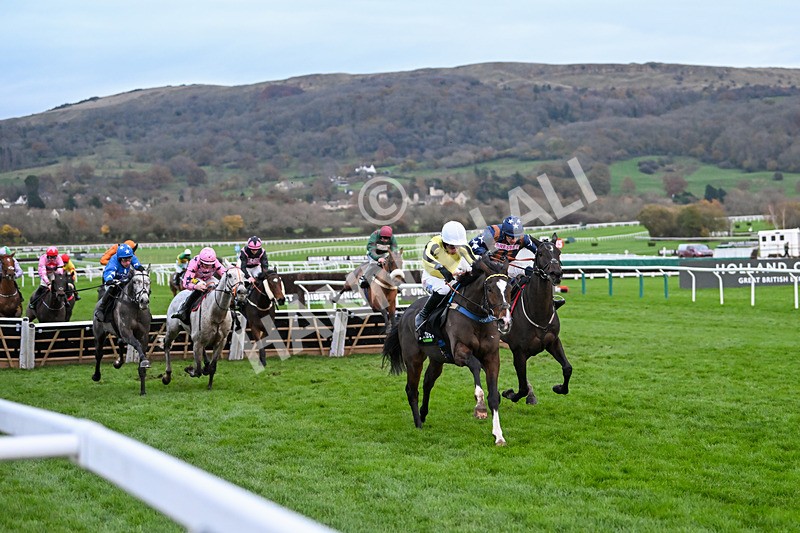 171124-Race 5-Burdett Road-4291 - Race 5