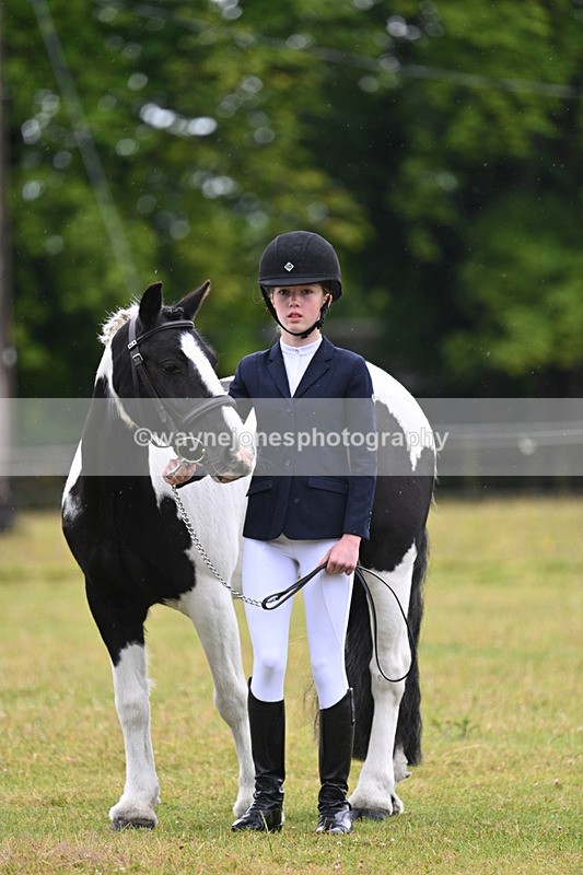 WJ7_5886 - Class 4 Prettiest Mare in Hand