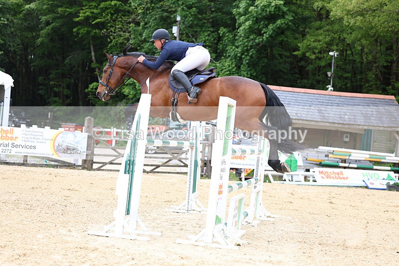 3E7A9711 - Class 9: Senior Foxhunter/1.20 open