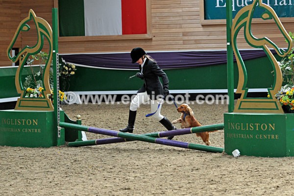 equiscot 3117 - NICOLA CAPPER