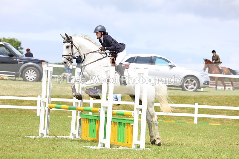 3E7A7382 - Class 13: Senior British Novice/90cm open