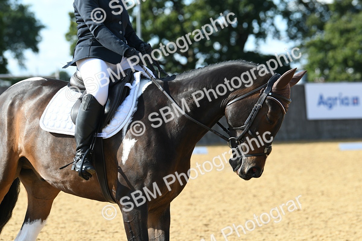 SBM_26995 - D16 - Small Tour Championship - Novice 28