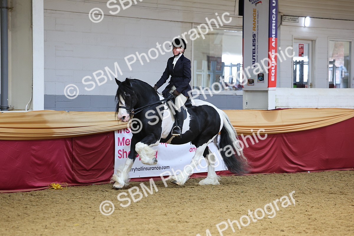 SBM_24383 - Class 906 - Supreme Final - Ridden Pre Vet