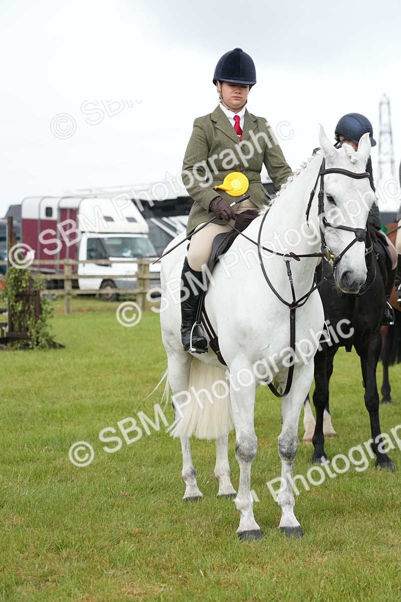 SBM_12805 - Class 97-98 - LIHS BSHA Rising Star Working Show Horse Hunter