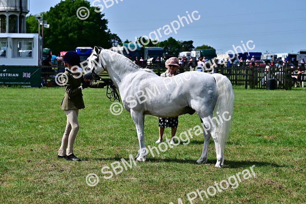 SBM_03888 - Class 58 - TSR  Ridden Veteran Amateur of the year