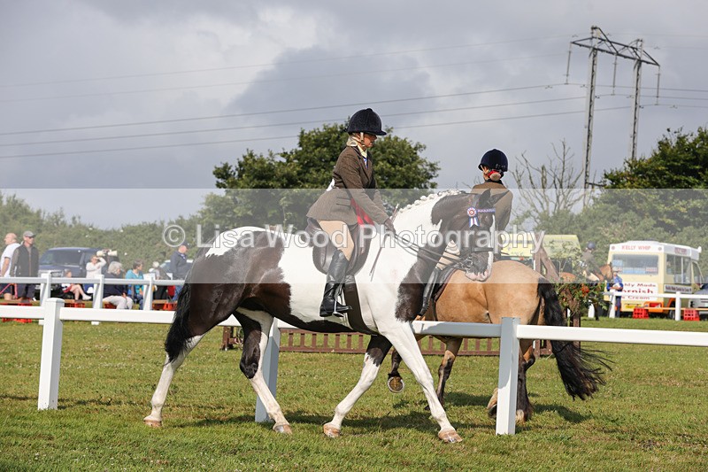 1X9A3448 - Skewbald and Piebald Ridden Championship