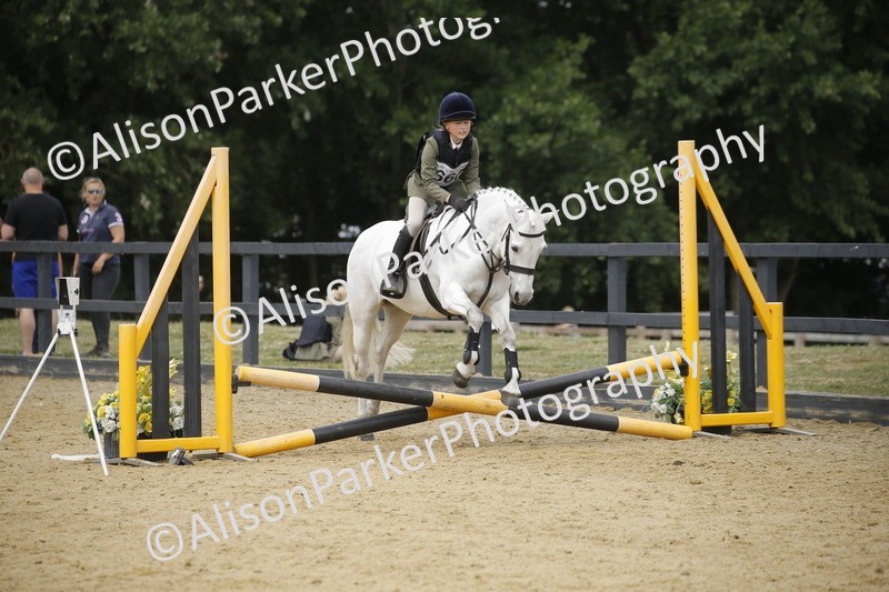 20250622-4740 - 50cm