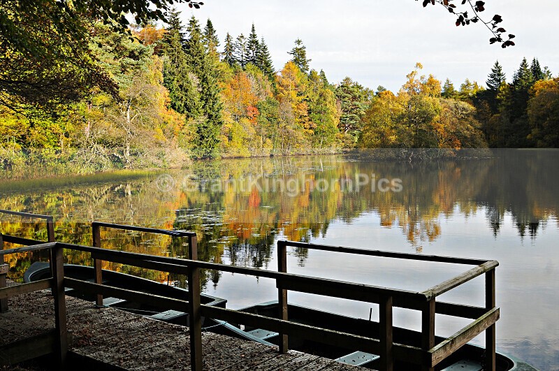 5 - Autumn around Selkirk