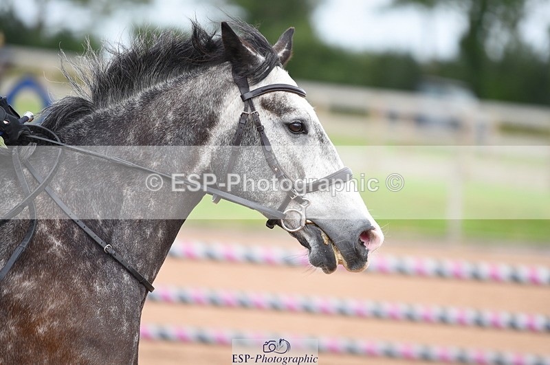 230711A-172322-00238 - 80cm