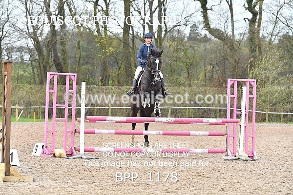 BPP_1178 - CLASS 4 Senior British Novice/ 90cm Open