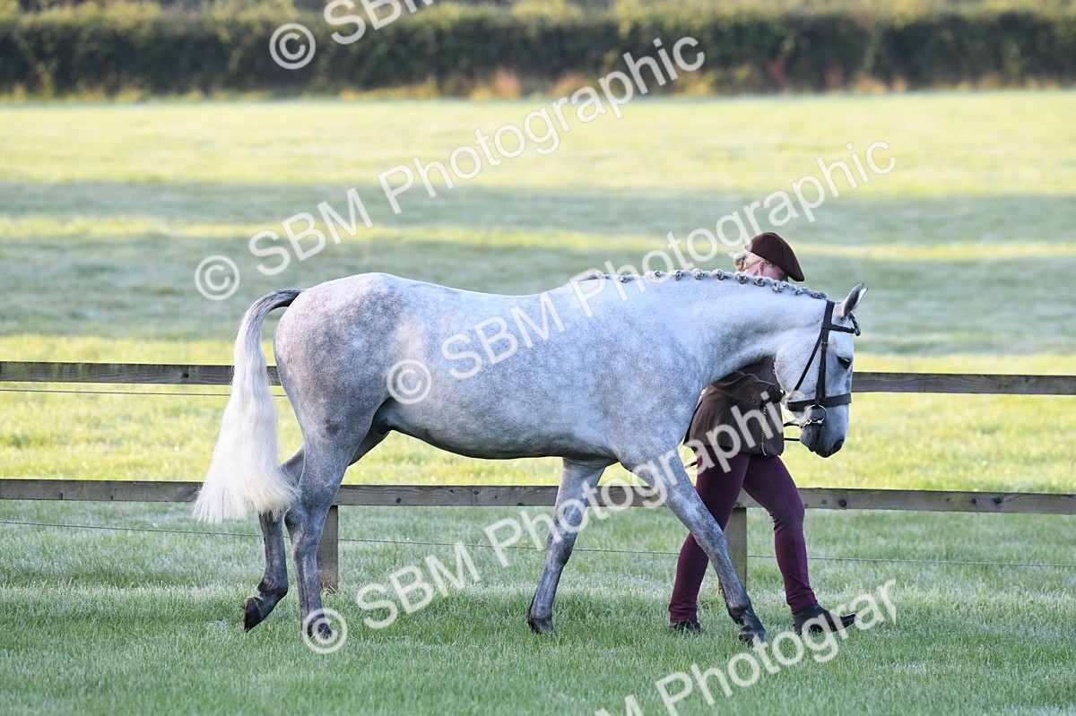 SBM_32408 - S15 - Condition & Turnout In Hand