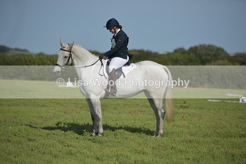 RAY_8142 - Class 2B: Trekenning Open: Dressage