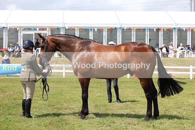 3E7A1698 - Class 9: Open Hunter